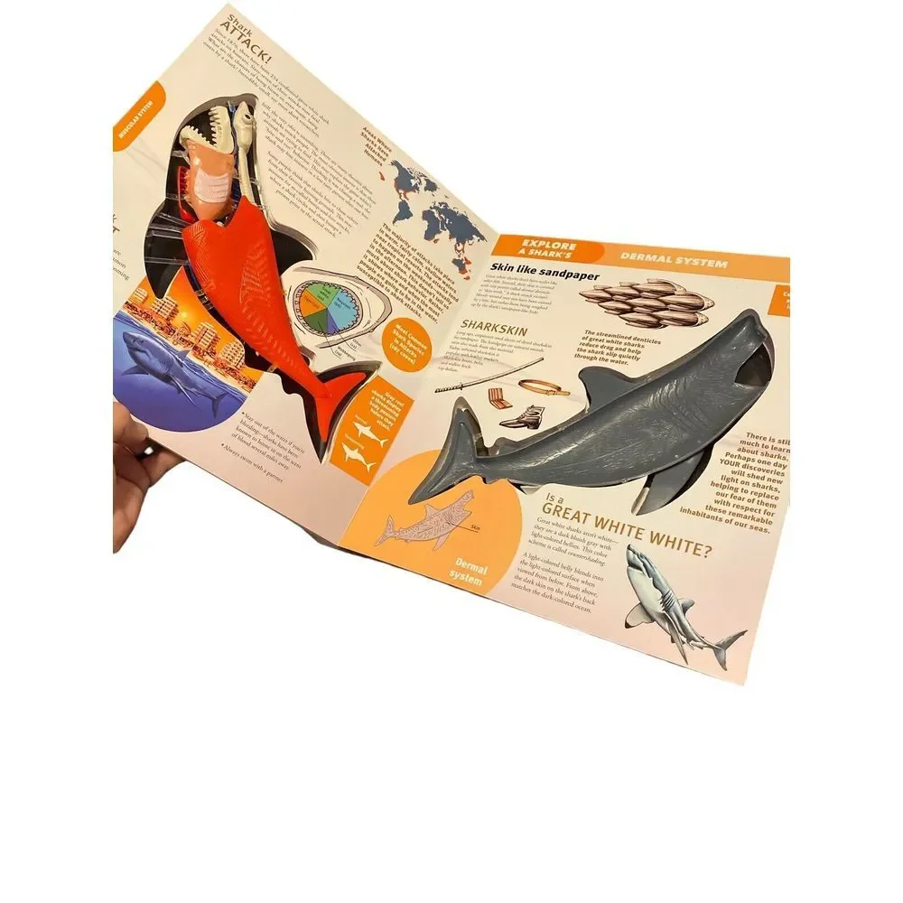 Explore a Shark by David George Gordon: Explore a Shark Inside and Out